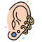 Ear Lobe Repair