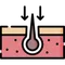 Hair Transplant