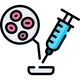 Stem Cell Therapy